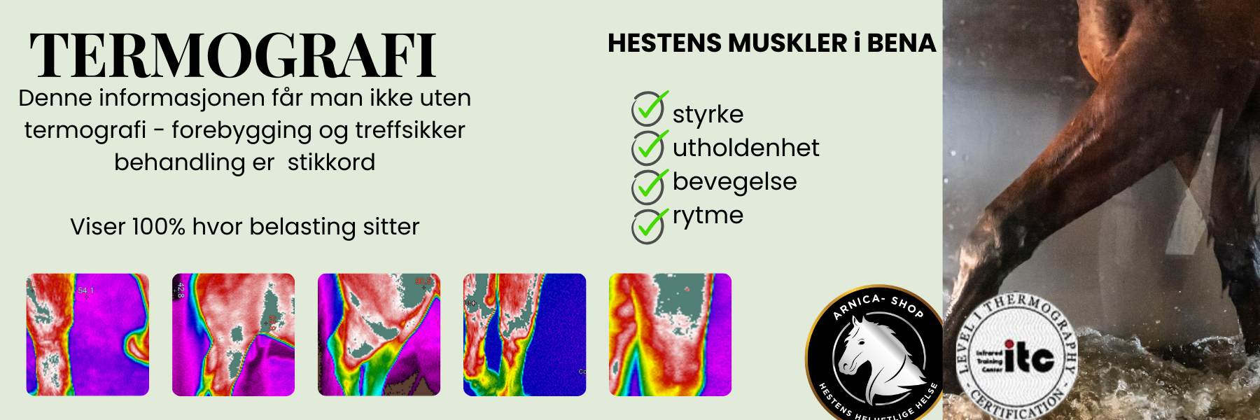 Benmuskler termografi