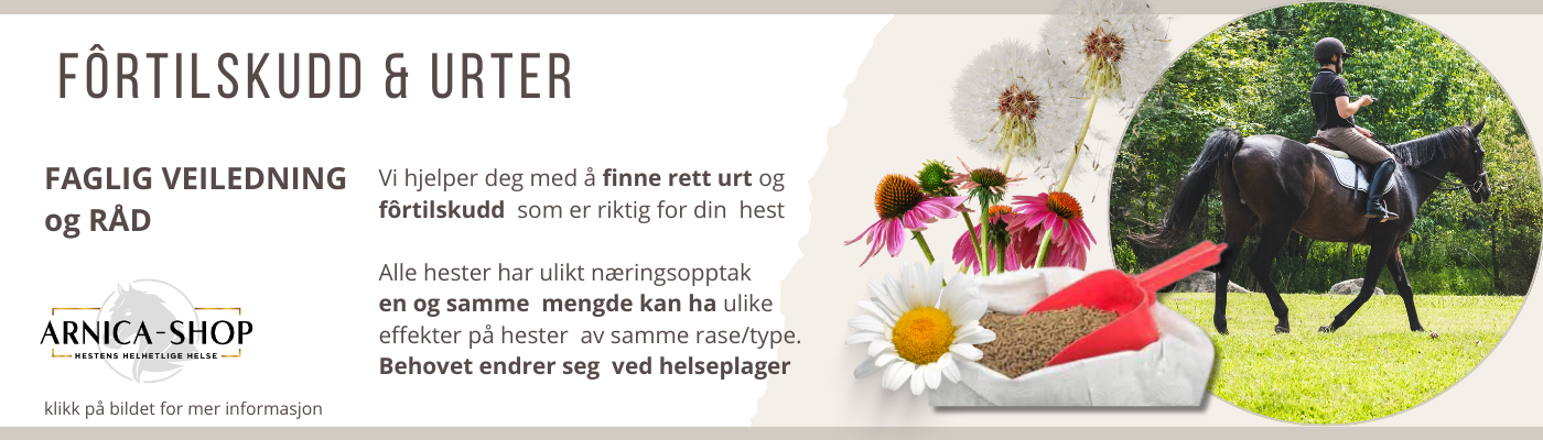 Fôrtilskudd og urter til hest 